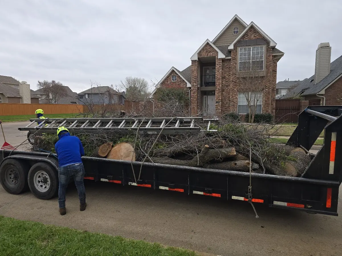 Expert Lot Clearing with proper safety equipment in Pasadena